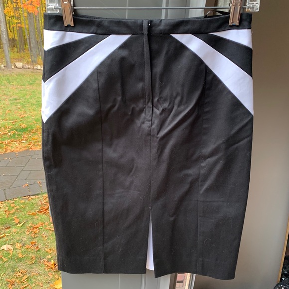 Dressy Skirt - Picture 2 of 3